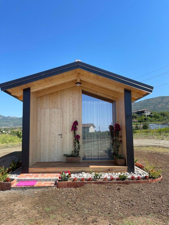 Fishta Guesthouse - Mrizi I Zanave Fishte Buitenkant foto