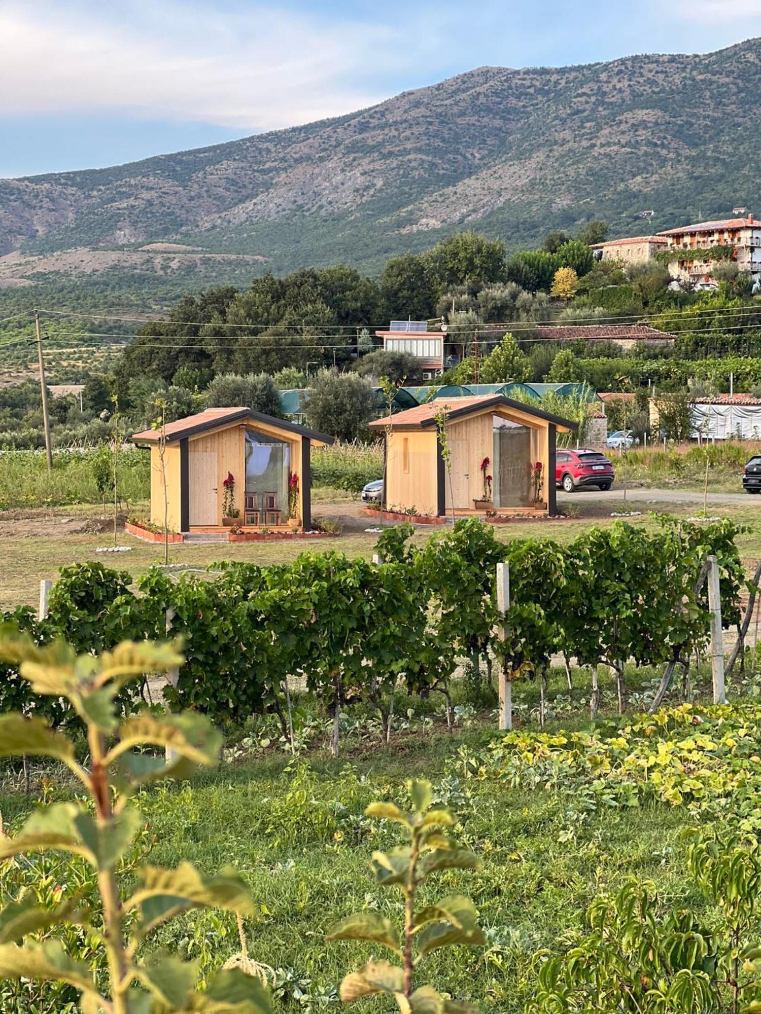 Fishta Guesthouse - Mrizi I Zanave Fishte Buitenkant foto