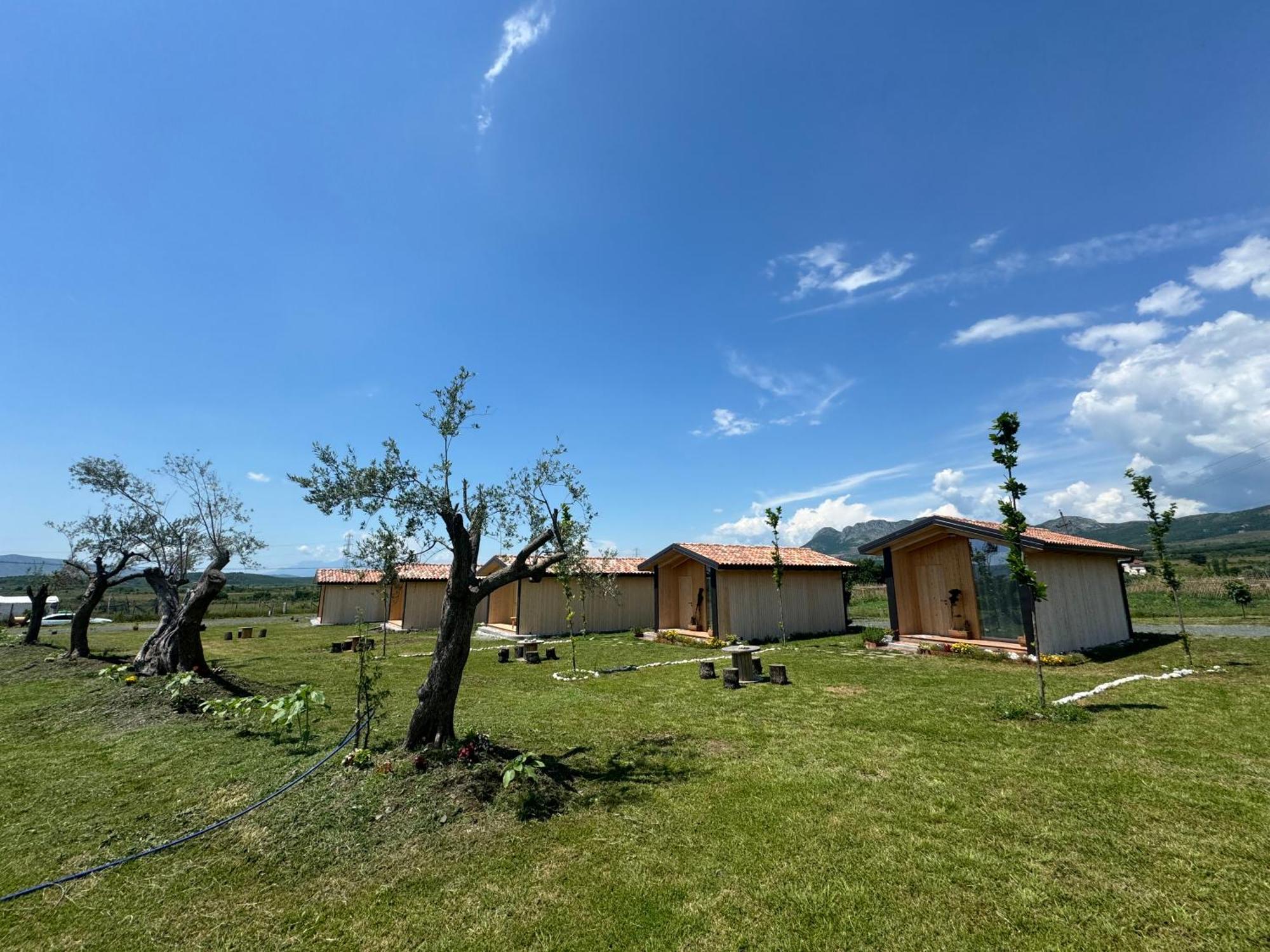 Fishta Guesthouse - Mrizi I Zanave Fishte Buitenkant foto