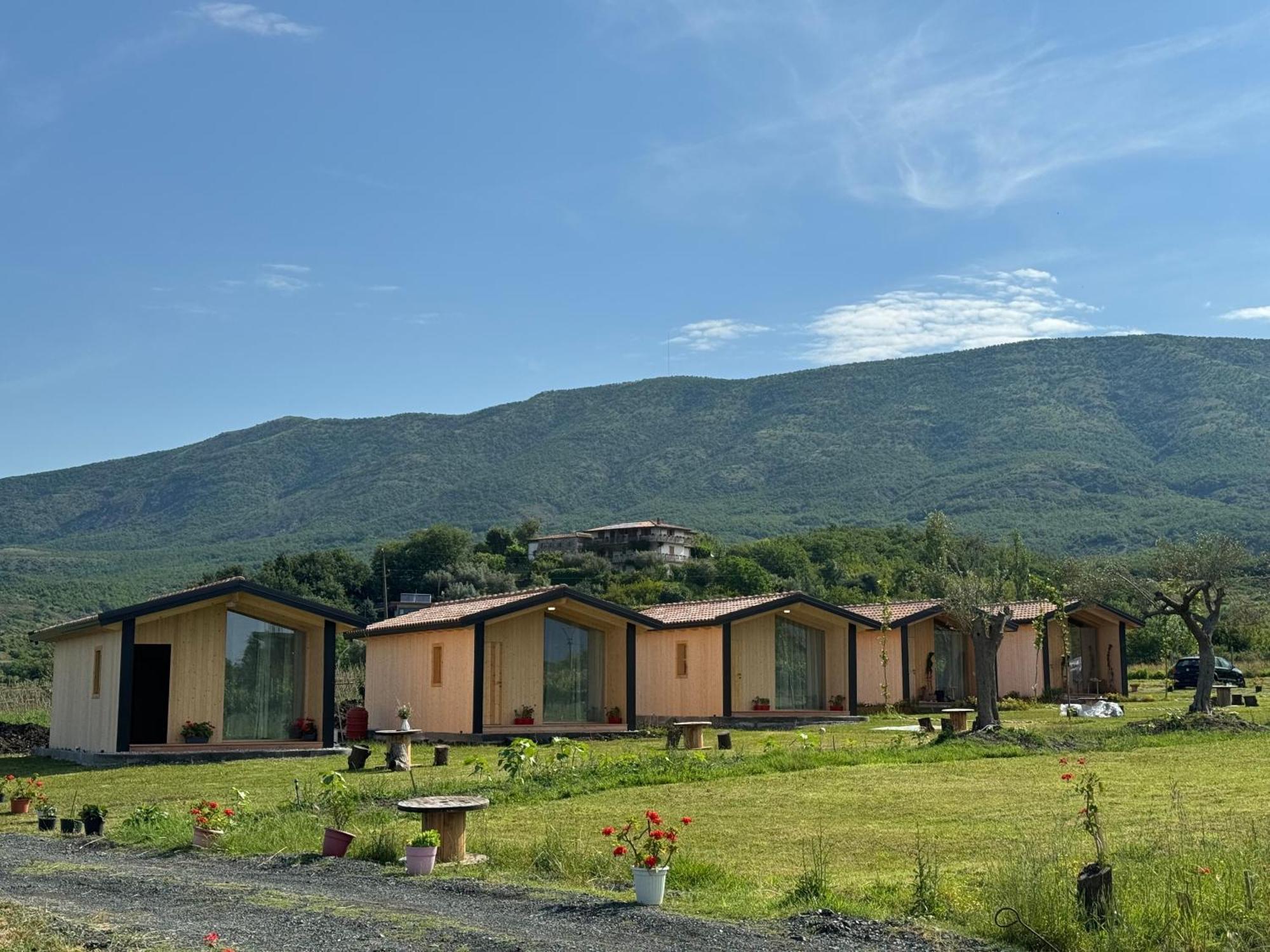 Fishta Guesthouse - Mrizi I Zanave Fishte Buitenkant foto