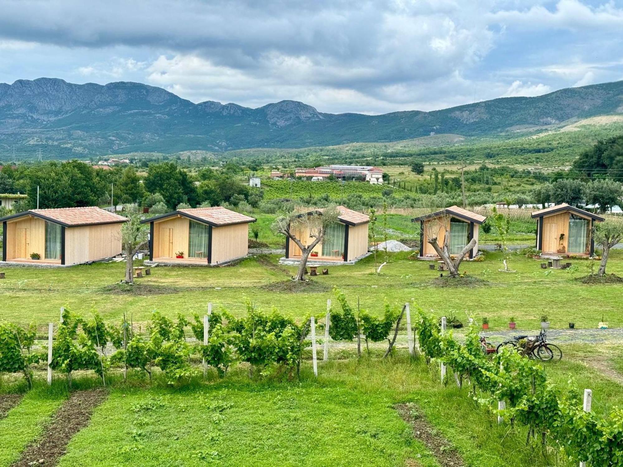 Fishta Guesthouse - Mrizi I Zanave Fishte Buitenkant foto