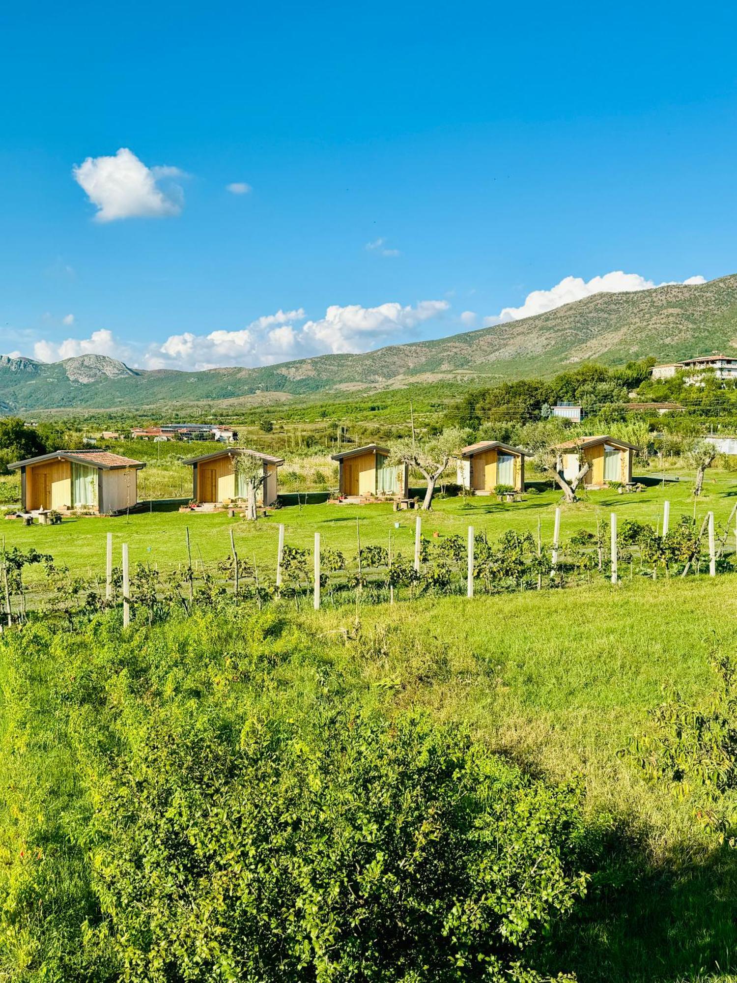 Fishta Guesthouse - Mrizi I Zanave Fishte Buitenkant foto